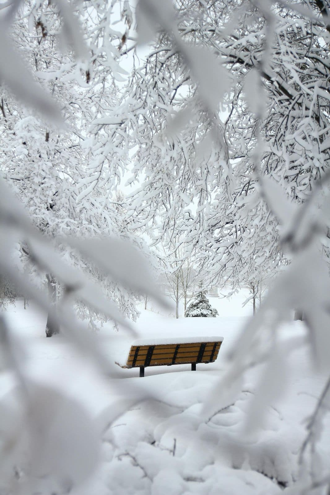 January
